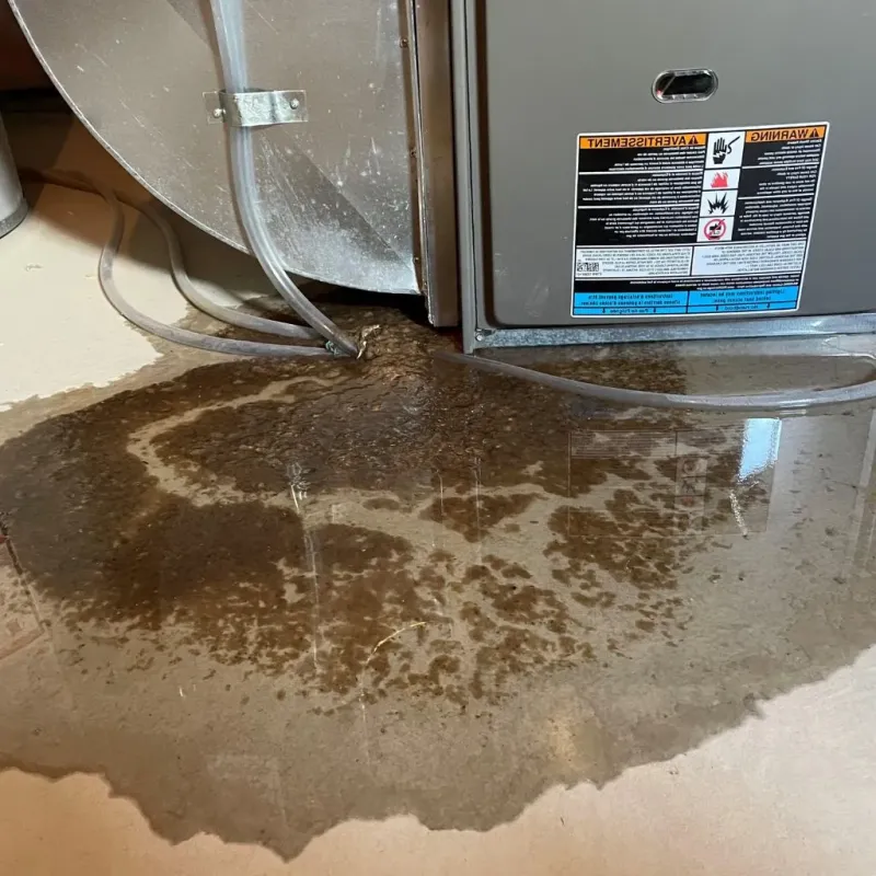 Pipe Burst and Leak Restoration in Estill County, KY